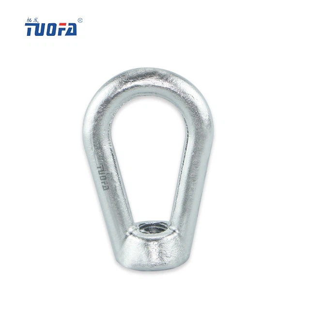 Eye Nut M 20 Oval Pole Line Hardware
