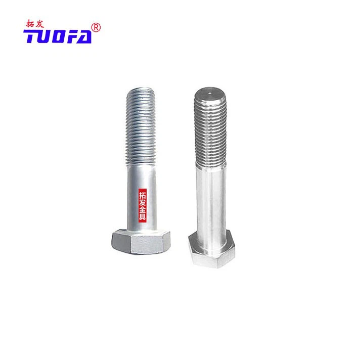 Hexagon Head Bolts